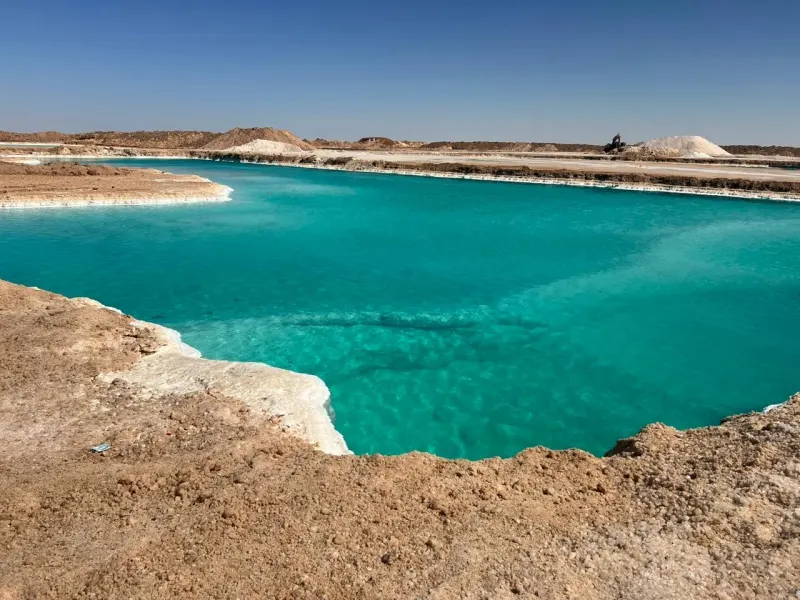 4-Day Siwa Tour from Cairo